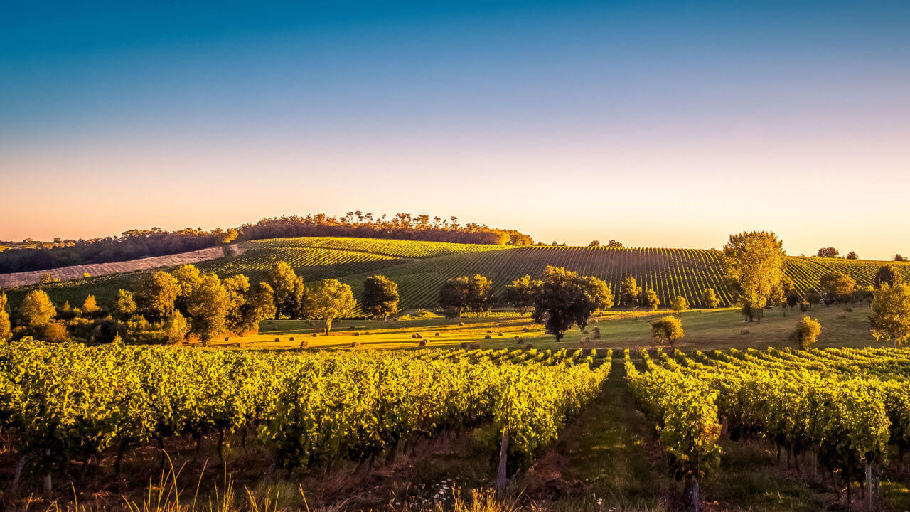 wine country service provider analytics